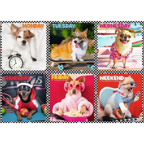 Puzzle Trefl 200 el. (113279) Puzzle Trefl 200 el. (113279)