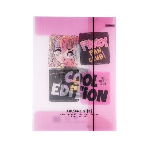 Teczka kartonowa na gumkę priplak-manga A4 mix Beniamin (4249) Teczka kartonowa na gumkę priplak-manga A4 mix Beniamin (4249)