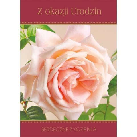 Kartka imieninowa składana Pol-Mak B6 złocona mix wzorów (B6Z) Kartka imieninowa składana Pol-Mak B6 złocona mix wzorów (B6Z)