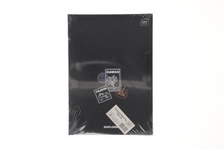 Zeszyt Interdruk BOYS mix A4 60k. 70g krata (ZEA460#)