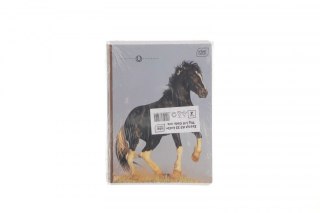 Zeszyt Interdruk GIRLS A5 32k. 70g linia kolor