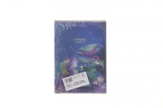 Zeszyt Interdruk METALIC FANTASY A5 60k. 70g krata