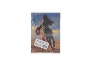 Zeszyt Interdruk WILD HORSES A5 32k. 70g krata