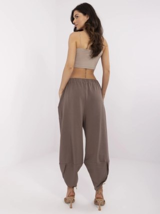 Spodnie dresowe RV-DR-9719.86 brązowy L/XL