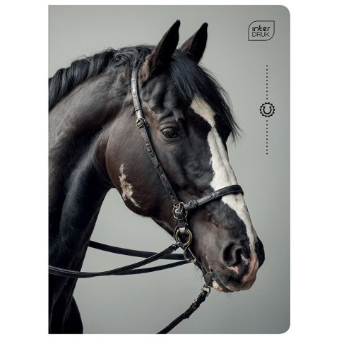 Zeszyt Interdruk WILD HORSES A5 32k. 70g krata Zeszyt Interdruk WILD HORSES A5 32k. 70g krata