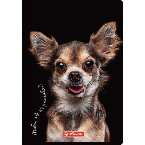 Zeszyt Herlitz Crazy Animal A5 60k. 70g krata (400196837) Zeszyt Herlitz Crazy Animal A5 60k. 70g krata (400196837)
