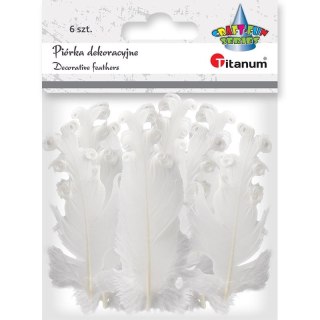Piórka Titanum Craft-Fun Series biały 6 szt
