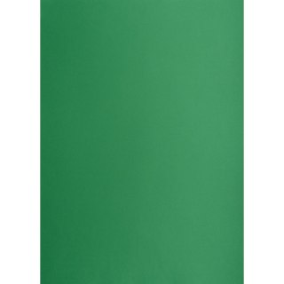 Brystol Creatinio A1 ciemnozielony 160g [mm:] 610x860 (400149561)