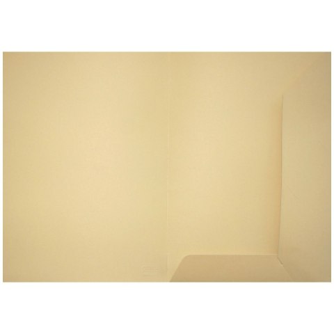 Teczka ofertowa Bigo ecru A4 kolor: ecri (1037) Teczka ofertowa Bigo ecru A4 kolor: ecri (1037)