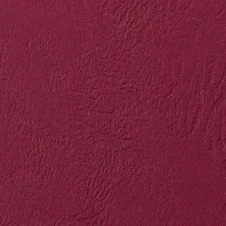 Karton do bindowania Argo delta A4 czerwony 250g (407041)