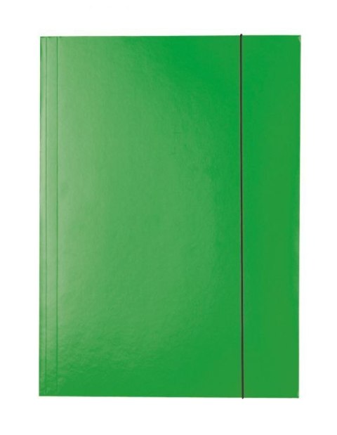 Teczka kartonowa na gumkę A4 zielony 400g Esselte (13437) Teczka kartonowa na gumkę A4 zielony 400g Esselte (13437)