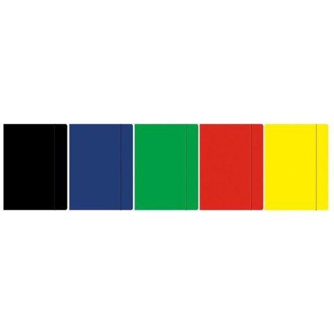Teczka kartonowa na gumkę kolor A3 mix 300g [mm:] 43x32 Rexus (601893)