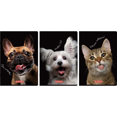 Zeszyt Herlitz Crazy Animal A4 60k. 70g krata (400196844) Zeszyt Herlitz Crazy Animal A4 60k. 70g krata (400196844)