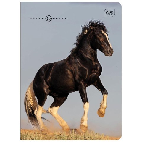 Zeszyt Interdruk GIRLS A5 32k. 70g linia kolor Zeszyt Interdruk GIRLS A5 32k. 70g linia kolor
