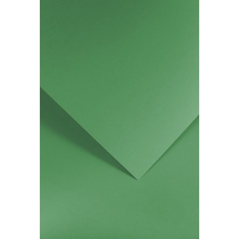 Papier ozdobny (wizytówkowy) Galeria Papieru gładki zielony A4 zielony 210g (205512) Papier ozdobny (wizytówkowy) Galeria Papieru gładki zielony A4 zielony 210g (205512)