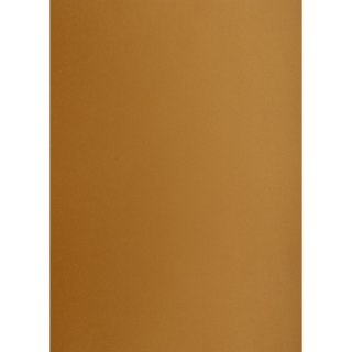 Brystol Creatinio A3 brązowy 160g 25k [mm:] 297x420 (400150231)