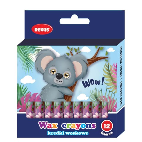 Kredki świecowe Rexus 12 kol. (603543) Kredki świecowe Rexus 12 kol. (603543)
