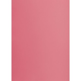 Brystol TOP-2000 A1 różowy 160g 25k [mm:] 610x860 (400149529)