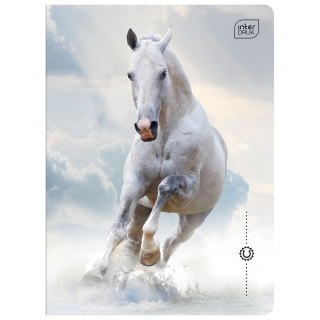 Zeszyt Interdruk WILD HORSES A5 32k. 70g krata