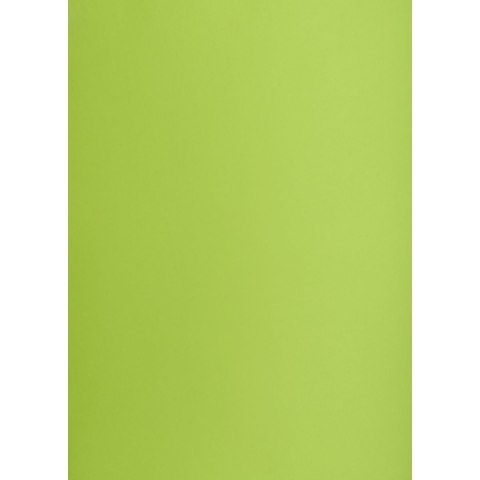 Brystol Creatinio zielony jasny B1 zielony jasny 225g 1k (400150267)