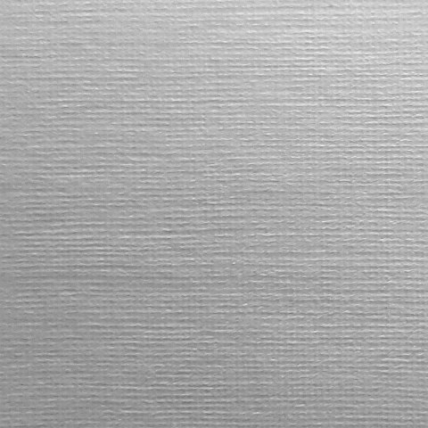 Papier ozdobny (wizytówkowy) Protos płótno A4 biały 100g Papier ozdobny (wizytówkowy) Protos płótno A4 biały 100g