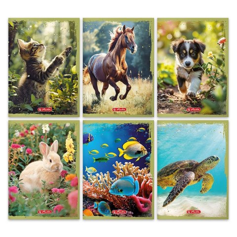 Zeszyt Herlitz Animals 9501353 A5 32k. linia (400197990) Zeszyt Herlitz Animals 9501353 A5 32k. linia (400197990)