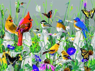 Zestaw kreatywny Flamingo Line Malowanie po numerach 30x40cm Ptaszki (FSY180)