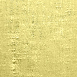 Papier ozdobny (wizytówkowy) Protos A4 kremowy 246g