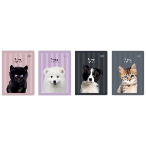Zeszyt Interdruk PUPPY SIGN A5 32k. 70g linia kolor Zeszyt Interdruk PUPPY SIGN A5 32k. 70g linia kolor