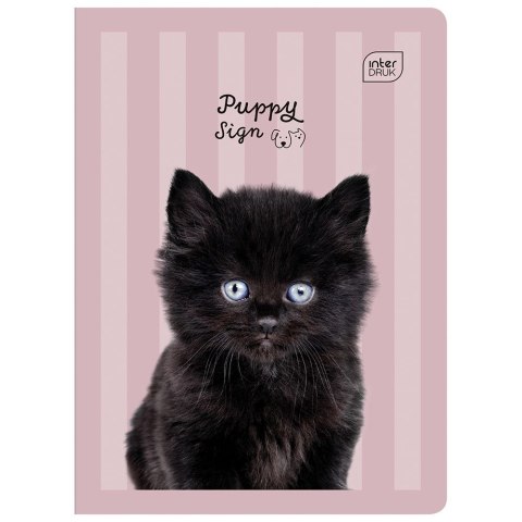 Zeszyt Interdruk PUPPY SIGN A5 32k. 70g linia kolor Zeszyt Interdruk PUPPY SIGN A5 32k. 70g linia kolor