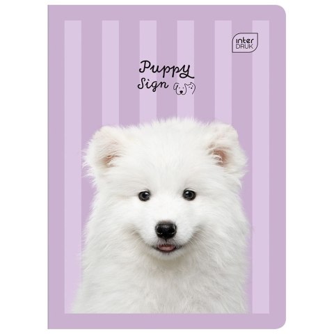 Zeszyt Interdruk PUPPY SIGN A5 32k. 70g linia kolor Zeszyt Interdruk PUPPY SIGN A5 32k. 70g linia kolor