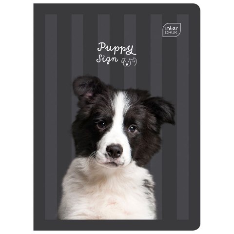 Zeszyt Interdruk PUPPY SIGN A5 32k. 70g linia kolor Zeszyt Interdruk PUPPY SIGN A5 32k. 70g linia kolor
