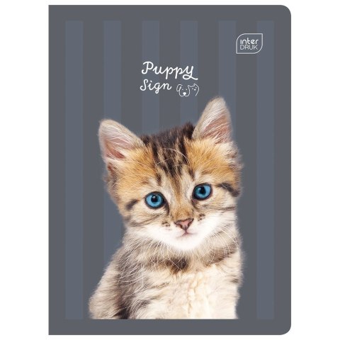 Zeszyt Interdruk PUPPY SIGN A5 32k. 70g linia kolor Zeszyt Interdruk PUPPY SIGN A5 32k. 70g linia kolor