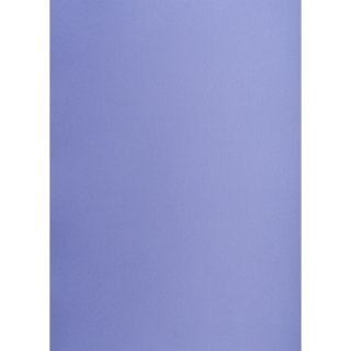 Brystol Creatinio purpurowy B1 purpurowy 225g 1k (400150271)