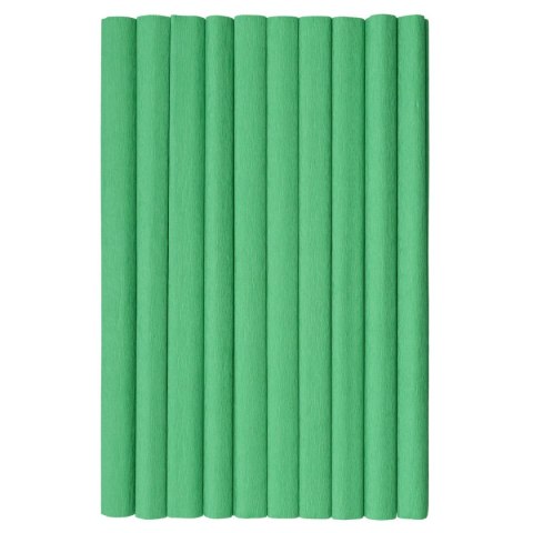 Bibuła marszczona TOP-2000 zielony 20mm x 500mm (400153937) Bibuła marszczona TOP-2000 zielony 20mm x 500mm (400153937)