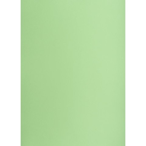 Brystol Creatinio groszkowy B1 groszkowy 225g 1k (400150266) Brystol Creatinio groszkowy B1 groszkowy 225g 1k (400150266)