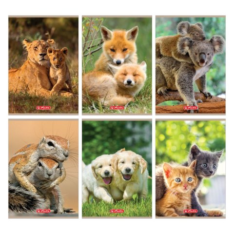 Zeszyt Herlitz Animals 9583055 A5 16k. 70g linia kolor (400197967) Zeszyt Herlitz Animals 9583055 A5 16k. 70g linia kolor (400197967)