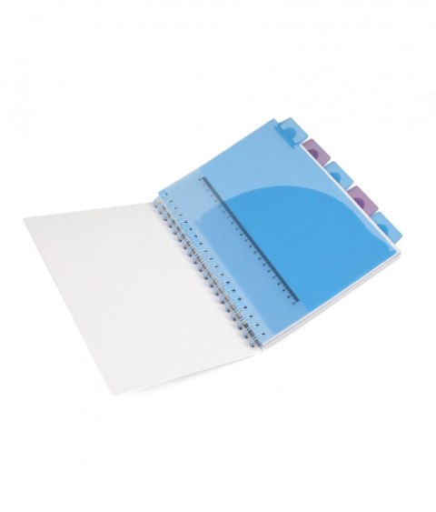 Kołozeszyt (kołobrulion) Patio Disney B5 100k. 80g krata (74999PTR)