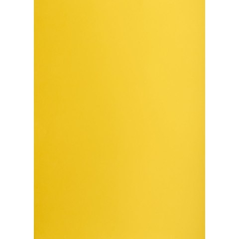 Brystol Creatinio A1 ciemnożółty 160g [mm:] 610x860 (400149526)