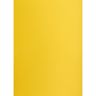 Brystol Creatinio żółty ciemny B1 żółty 225g 1k (400150257)