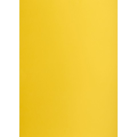 Brystol Creatinio żółty ciemny B1 żółty 225g 1k (400150257)