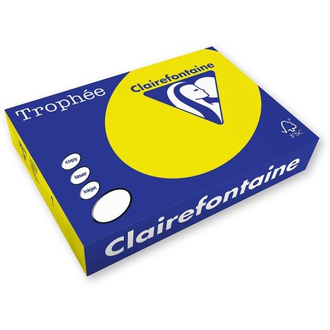 Papier kolorowy Trophee A4 słoneczny 210g (2210) Papier kolorowy Trophee A4 słoneczny 210g (2210)