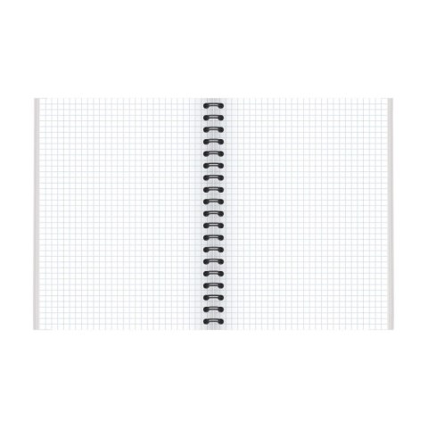 Kołozeszyt (kołobrulion) TOP-2000 SHADES B5 120k. 70g krata [mm:] 170x250 (400158939)