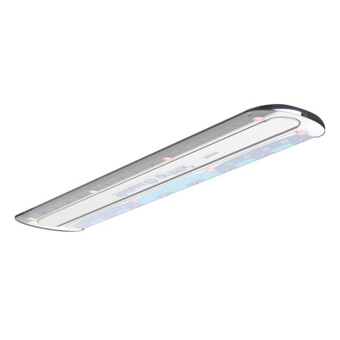 Linijka plastik Pelikan Griffix 822275 15cm (300000445) Linijka plastik Pelikan Griffix 822275 15cm (300000445)
