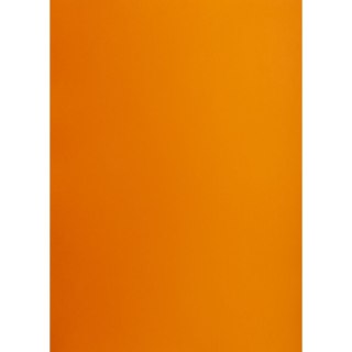 Brystol Creatinio pomarańczowy B1 pomarańczowy 225g 1k (400150261)