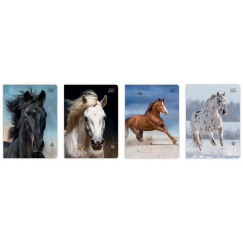 Zeszyt Interdruk WILD HORSES A5 16k. 70g linia kolor Zeszyt Interdruk WILD HORSES A5 16k. 70g linia kolor