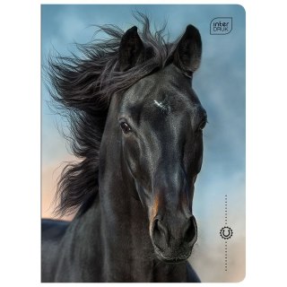 Zeszyt Interdruk WILD HORSES A5 16k. 70g linia kolor