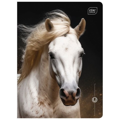 Zeszyt Interdruk WILD HORSES A5 16k. 70g linia kolor Zeszyt Interdruk WILD HORSES A5 16k. 70g linia kolor