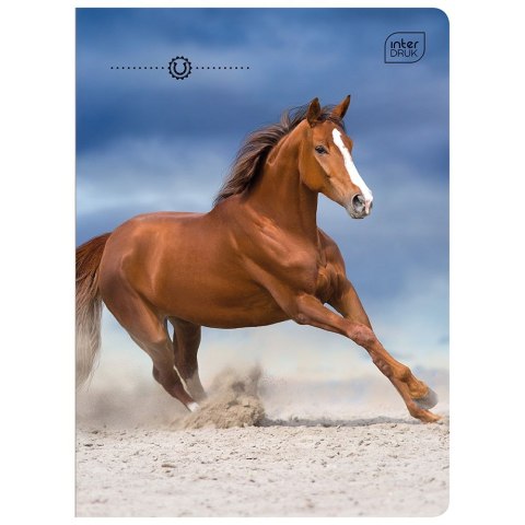 Zeszyt Interdruk WILD HORSES A5 16k. 70g linia kolor Zeszyt Interdruk WILD HORSES A5 16k. 70g linia kolor
