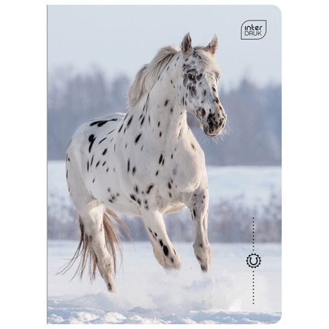 Zeszyt Interdruk WILD HORSES A5 16k. 70g linia kolor Zeszyt Interdruk WILD HORSES A5 16k. 70g linia kolor